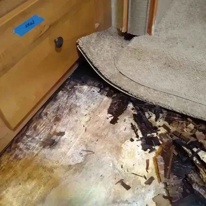 Wood Floor Water Damage in Tuscola, IL